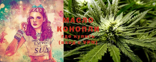 эйфоретик Няндома