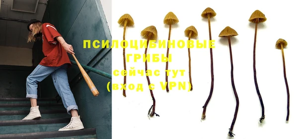 эйфоретик Няндома