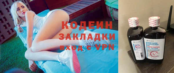 эйфоретик Няндома