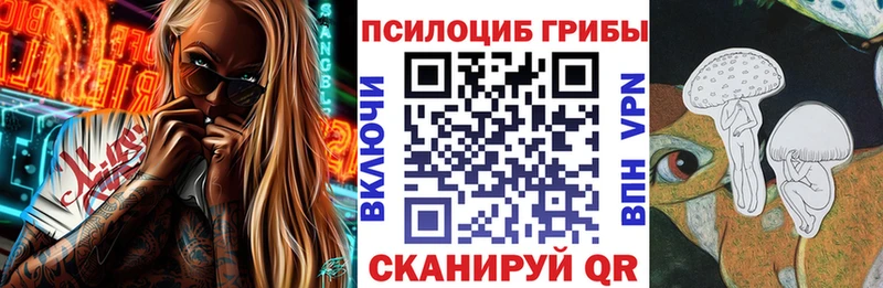 mega ссылка  Жердевка  Псилоцибиновые грибы GOLDEN TEACHER 